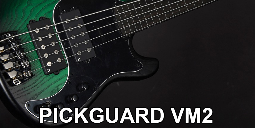 Pickguard VM2